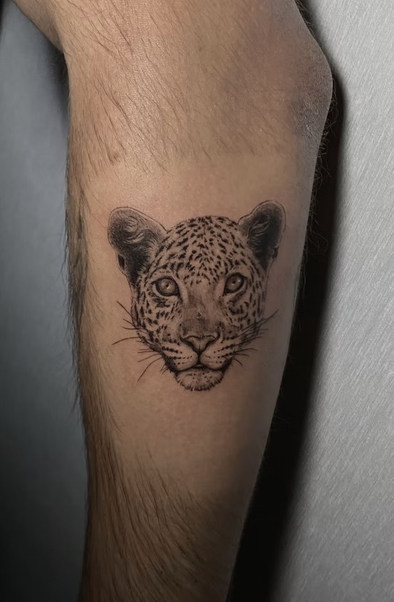 Felino